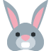 :rabbit: