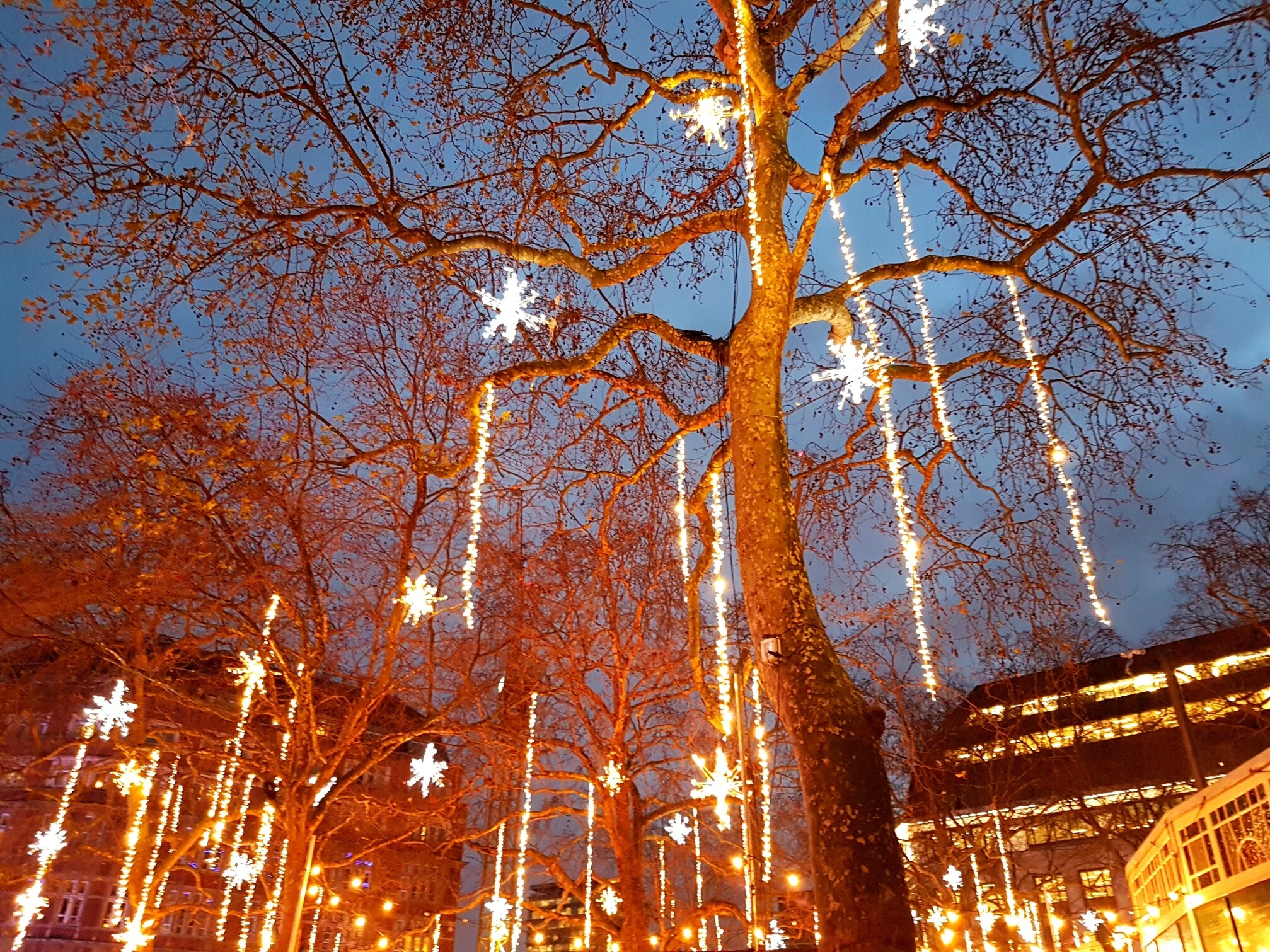 20171219_162304
