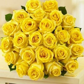 20-yellow-roses