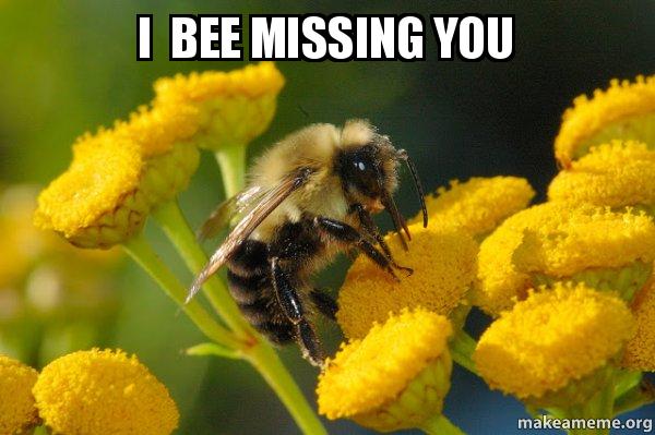 i-bee-missing-you-meme