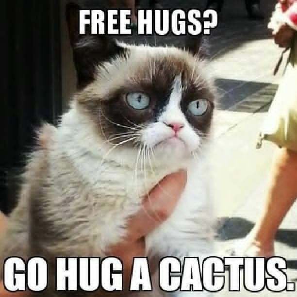 do-you-need-free-hugs-angry-cat-meme