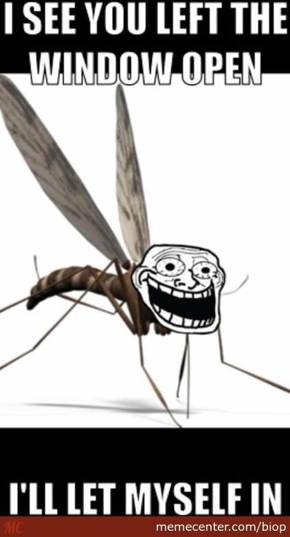 scumbag-mosquito_o_2762893