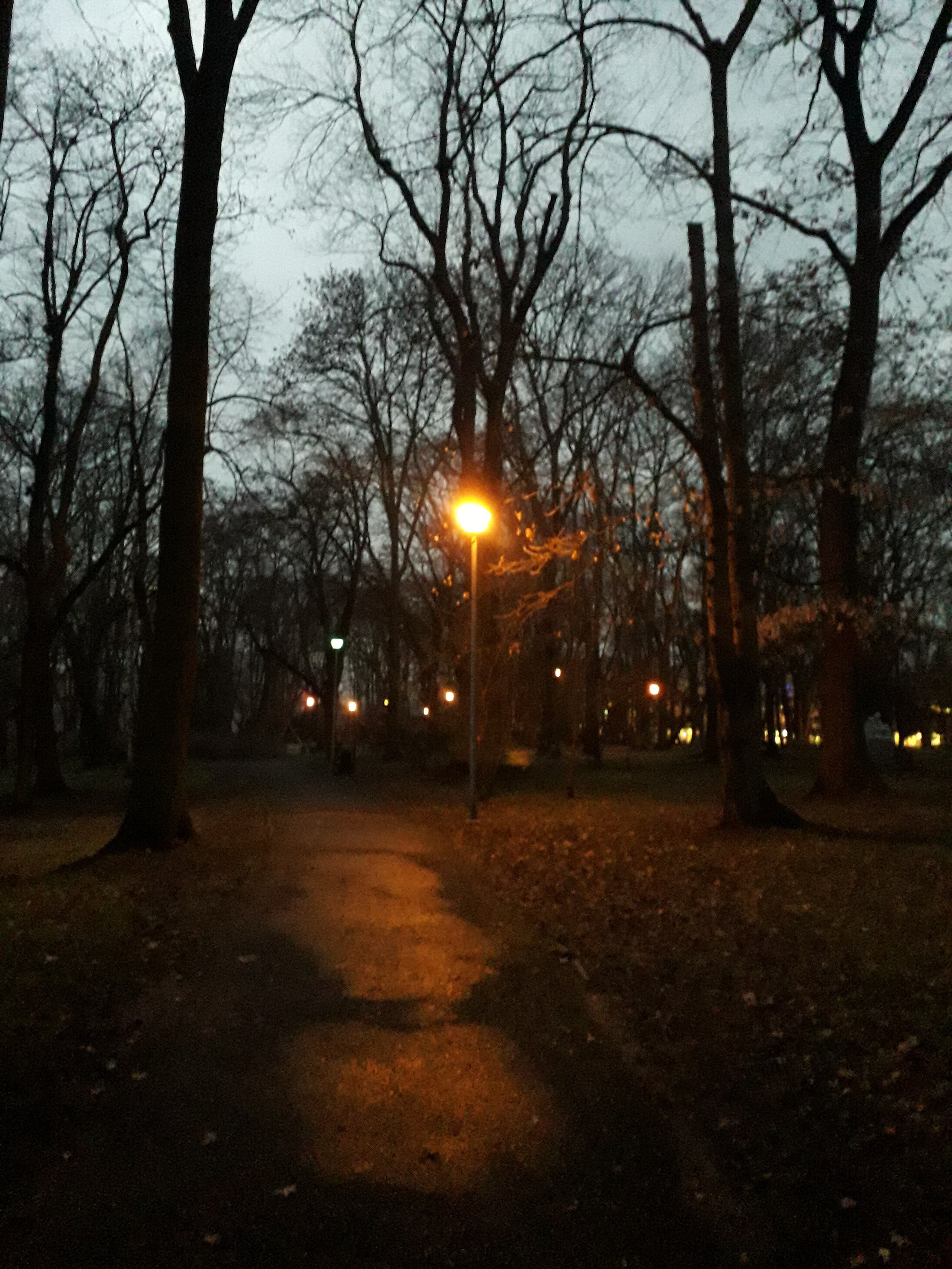 20181212_160839